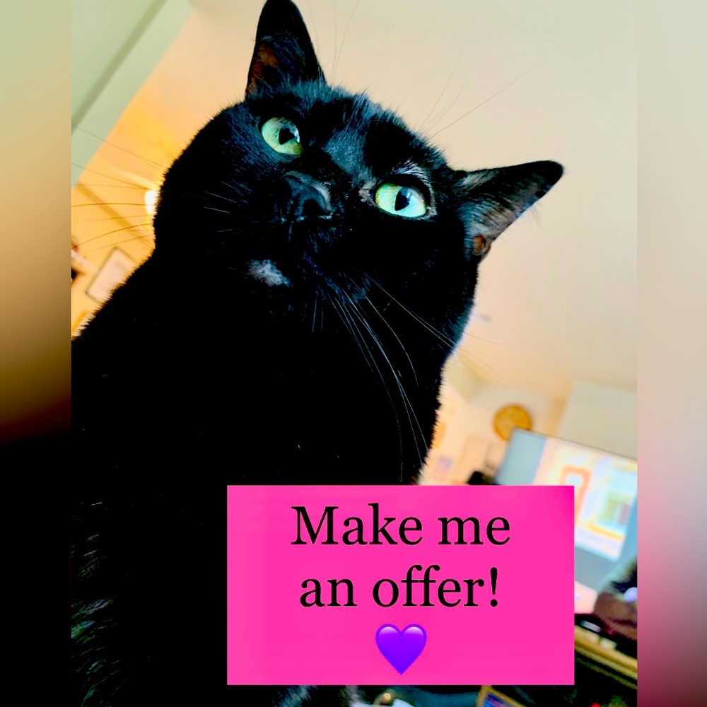 Make me an offer! 💜